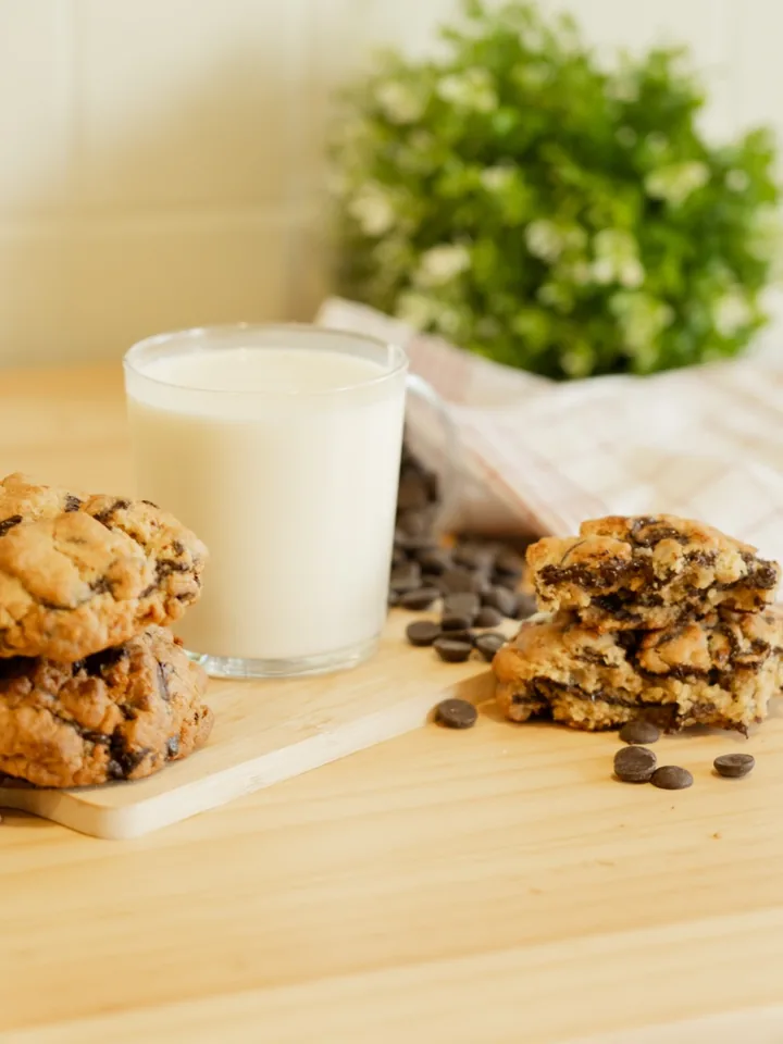 Chocolate Chip Cookie